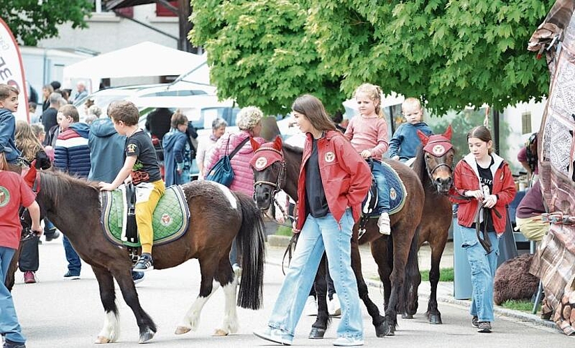 Das Ponyreiten war wie immer eine sehr beliebte Aktivität. Fotos: S. van Riemsdijk