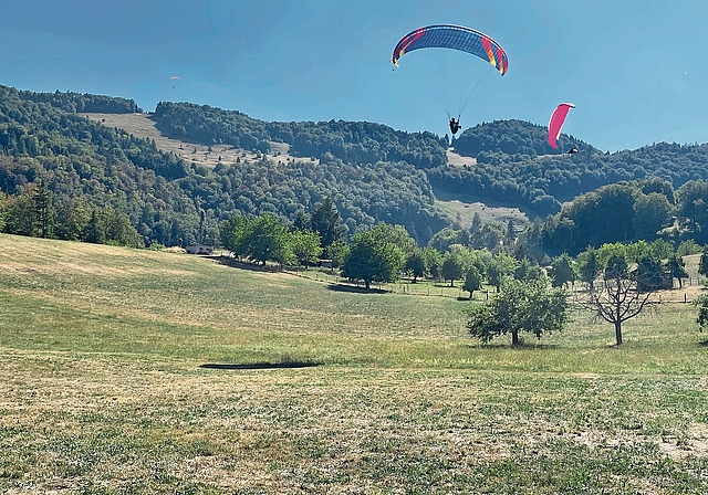 Gleitschirm-Pilotinnen und -Piloten im Zielgelände in Lauwil. Im Hintergrund ist das Startgebiet auf der Hohwacht gut zu erkennen.Fotos: M. Stöcklin