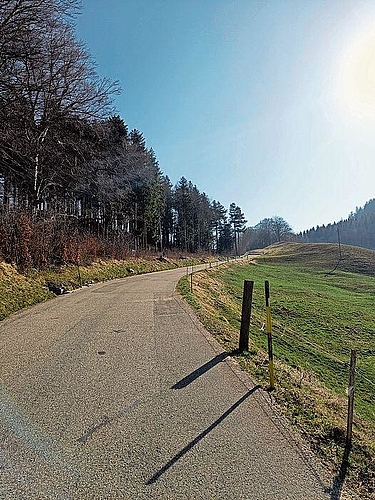 Instandsetzungsarbeiten.Foto: zvg

