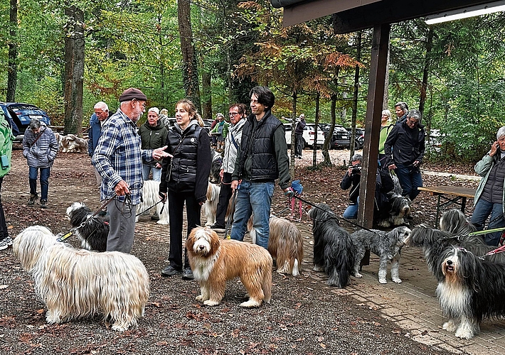 Hunde und Hundebesitzende fühlten sich wohl im Oberbaselbiet.Fotos: M. Stöcklin