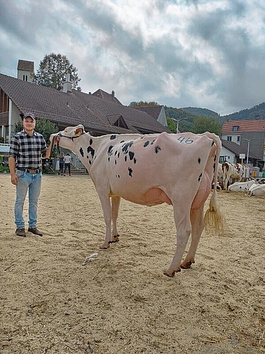 Miss RH/HO wurde die Chief-Tochter Kanada aus dem Stall von Sven Roth.