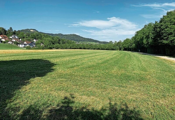 Auf diesem Feld soll das Trailcenter entstehen. Es ist als «L» geplant und 
         
         
            es soll eingezäunt und mit notwendiger Infrastruktur wie unter 
         
         
            anderem Strom und Wasser versehen werden.  Foto: W. Wenger