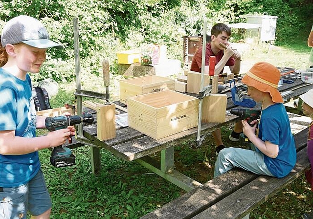 Hier entstehen neue Behausungen für Bienen. Fotos: B. Eglin