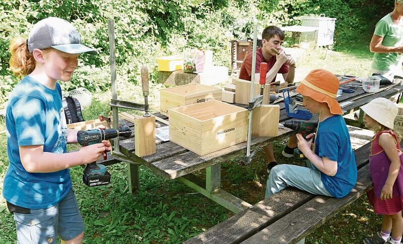 Hier entstehen neue Behausungen für Bienen. Fotos: B. Eglin