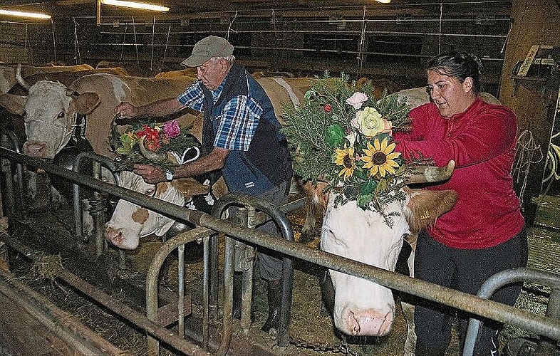 Es ist das letzte Mal, dass senior Bauer Hans Schweizer, Bärenwil, Kühe schmückt, die zu Fuss an die Schau gehen. Hier zusammen mit der neuen Pächterin Samira Waser.