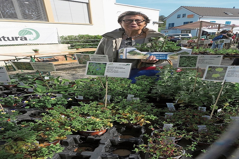 Gabriela Graf-Kocsis, Projektleitung Klimaschule. 