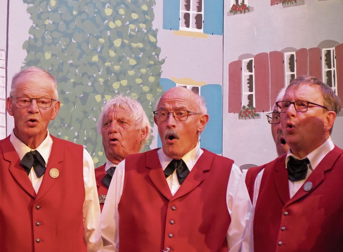 Mit hörbarer Hingabe sangen die Farnsburger ihre berührenden Jodellieder. Foto: S. van Riemsdijk