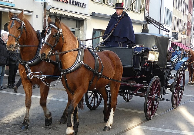 Prächtiger Landauer mit zwei stolzen Freibergern. Fotos: U. Fluri

