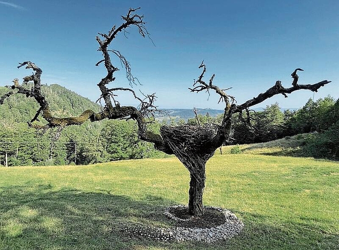 «Il Nido: La vita dopo la morte» von Giuseppe Antonio Ferraro und Diego Serra, Italien, tote Zweige und Steine aus der Umgebung. Dieses Werk der beiden italienischen Floristen verweist auf das Leben nach dem Tod. Das Nest ist leer, das Ei ist weg, aus ihm ist neues Leben geboren. Es versinnbildlicht Leben, Tod und Auferstehung.