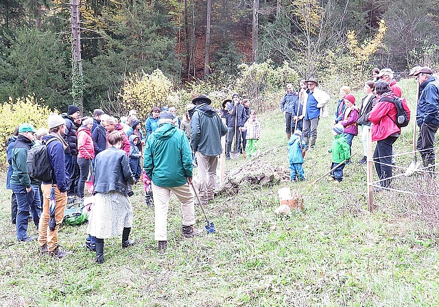 Baumfachmann Franz Spahr zeigte den Teilnehmern, worauf es beim Pflanzschnitt und der nachfolgenden Pflanzung an kommt. Fotos: zVg
