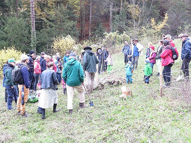 Baumfachmann Franz Spahr zeigte den Teilnehmern, worauf es beim Pflanzschnitt und der nachfolgenden Pflanzung an kommt. Fotos: zVg
