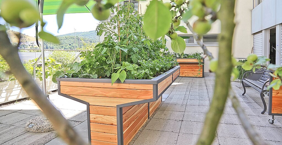 Der Garten ist so gestaltet, dass die Senioren auch in Rollstühlen an die Hochbeete heranfahren können.