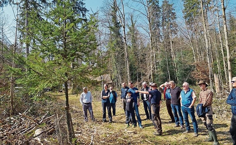 Dani Wenk orientiert über die zukünftige Waldentwicklung. Wo noch vor Tagen unzählige Buchen standen, dominiert jetzt das Sonnenlicht.Foto: zvg