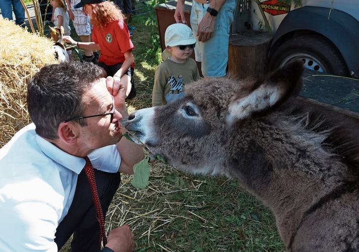 Thomi Jourdan mag Menschen und Tiere. 