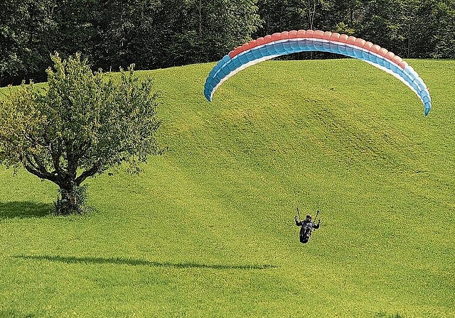 Perfekte Landung auf der gemähten Wiese.
