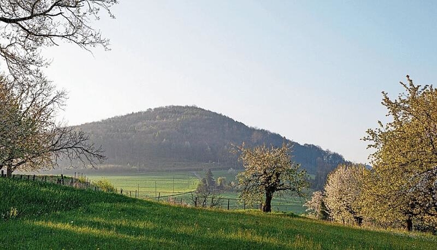 Der «Büechlihau»: Der nördliche Abhang des Hügelzuges erhebt sich wie eine Pyramide über dem Tal der Rheinebene. Fotos: Archäologie Baselland, Tom Schneider
