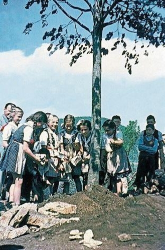 Das Pflanzloch wurde mit Erde aufgefüllt und verfestigt.