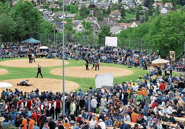 Die Arena von oben. Fotos: M. Herrmann