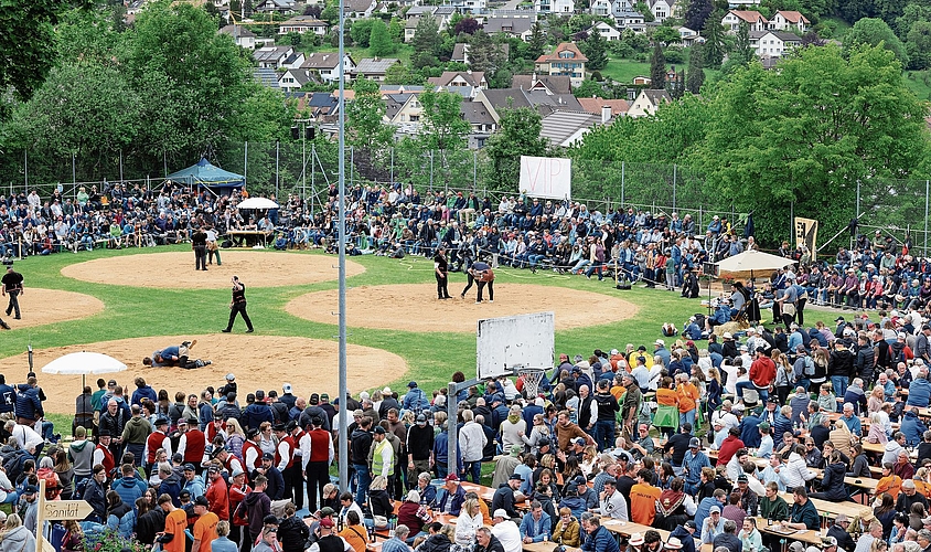 Die Arena von oben. Fotos: M. Herrmann Die Arena von oben. Fotos: M. Herrmann