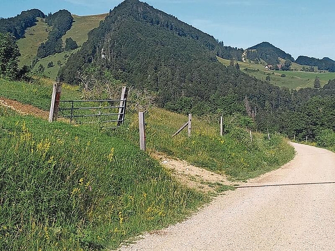 Die Region Wasserfallen ist weit herum bekannt für ihre vielfältigen Lebensräume.