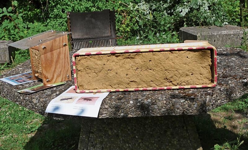 Unterkunft für Mauerbienen.