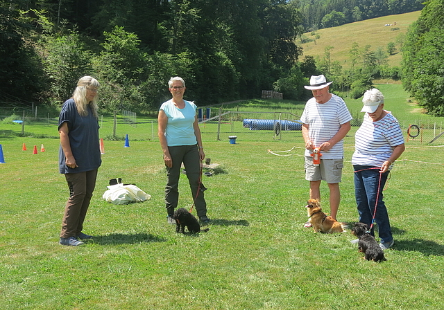 Die Hundeschule als Lernort für die Harmonie zwischen Mensch und Hund. Foto: S. van Riemsdijk