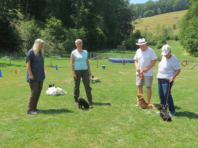 Die Hundeschule als Lernort für die Harmonie zwischen Mensch und Hund. Foto: S. van Riemsdijk