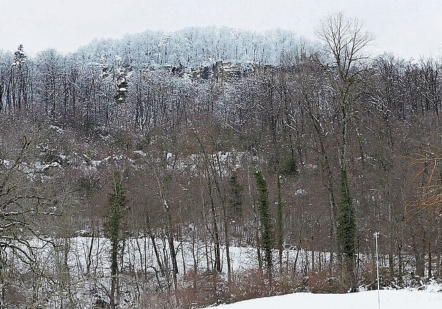 Die Bäume auf der Schauenburgerfluh sind noch vom Schnee bedeckt. Fotos: B. Eglin