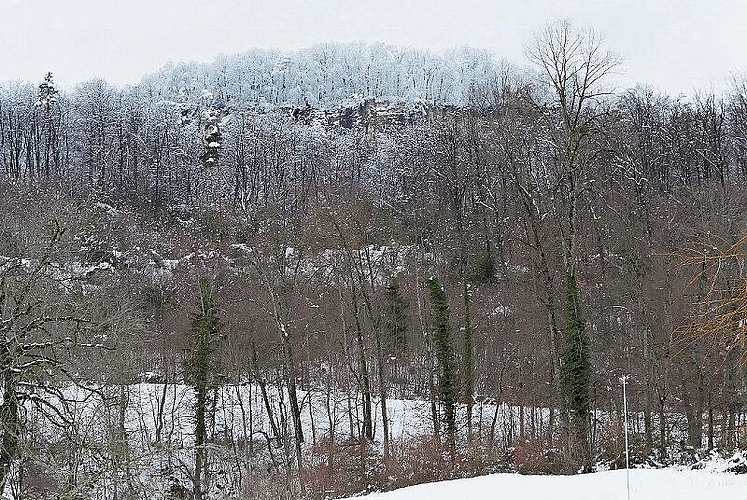 Die Bäume auf der Schauenburgerfluh sind noch vom Schnee bedeckt. Fotos: B. Eglin