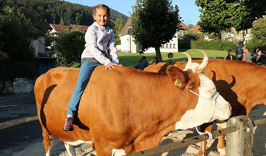 Stars auf dem Schauplatz: Jana, deren Grossvater auch Simmentaler züchtet, und Bettina, die alle sehen wollen, seit ihre Geschichte in der ObZ war. Fotos: B. Bentolila
