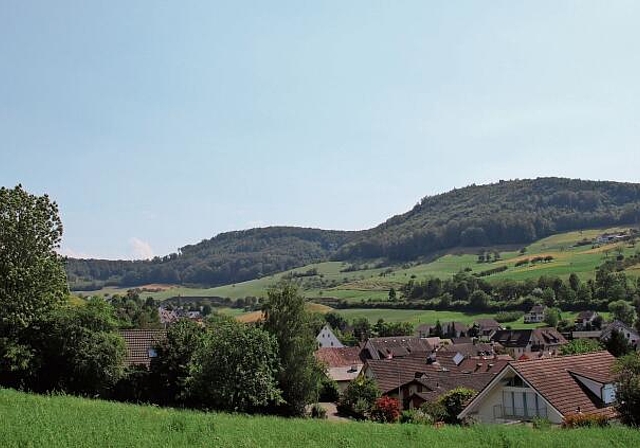 Arisdorf und die Nachbargemeinde Hersberg, hinter dem Hügel, sollen näher zusammenrücken.Fotos: M. Schaffner