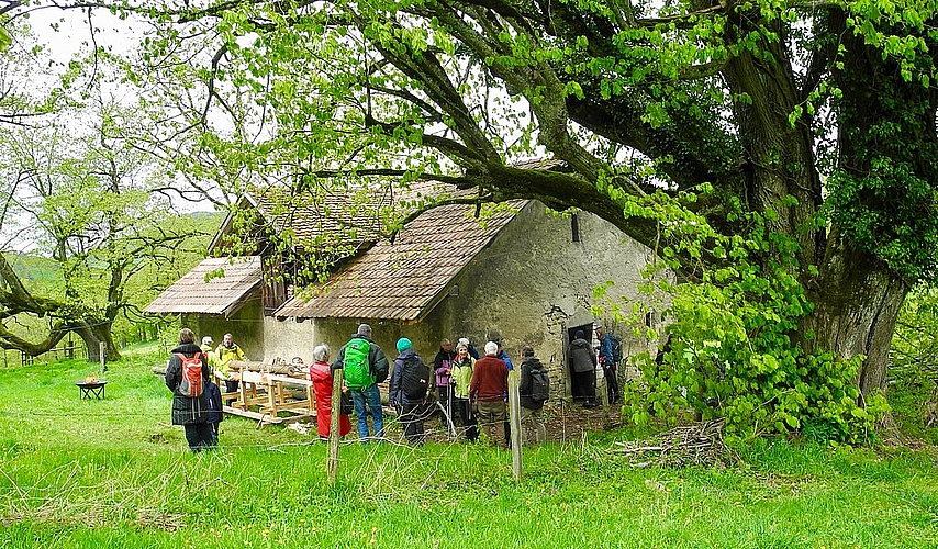 Der Weidstall Rütiboden liegt zwischen den Höfen Rüti und Reisen südwestlich von Wisen.