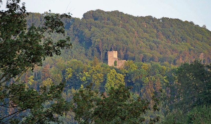 Das Baselbiet hat zum Beispiel Burgen und Schlösser ... Fotos: B. Eglin