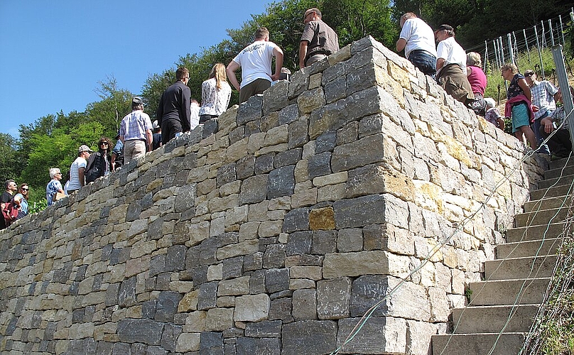 Die in den letzten Jahren erstellten Trockensteinmauern sind der Stolz des Weinbauvereins und werten den Dielenberg auf.
