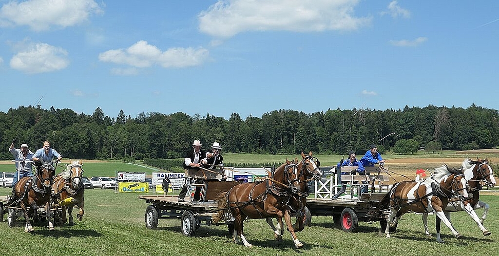 Das Brückenwagenrennen wurde von drei Gespannen aus dem Emmental bestritten.Fotos: U. Handschin
