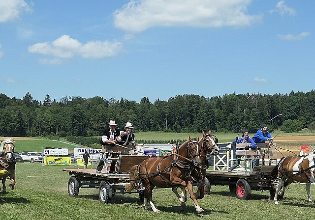Das Brückenwagenrennen wurde von drei Gespannen aus dem Emmental bestritten.Fotos: U. Handschin
