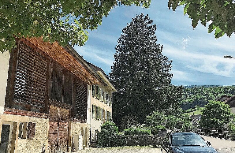 Ein verloren gegangener Anblick: Die 150 Jahre alten Bäume hatten das Ortsbild von Reigoldswil über Generationen hinweg geprägt.Fotos: zVg
