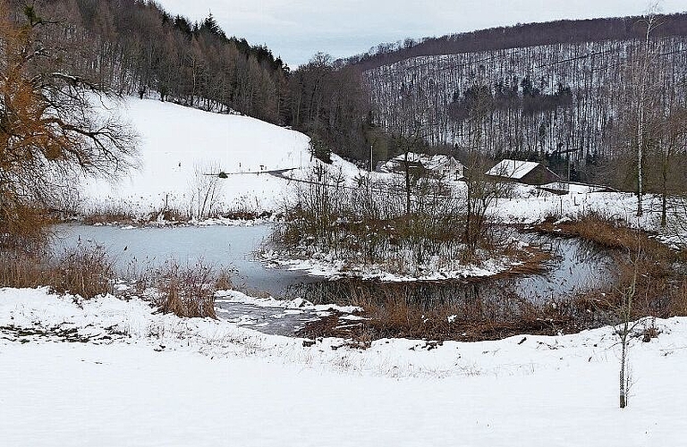 Eine dünne Eisschicht bedeckt einen Teil des grossen Weihers.