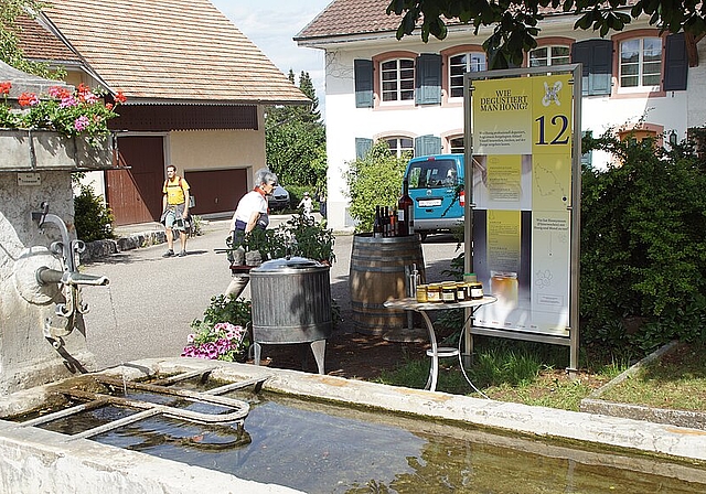Der begehbare «Zeidlerbaum», ein naturnaher Bienen-Nistplatz. Foto: zVg
