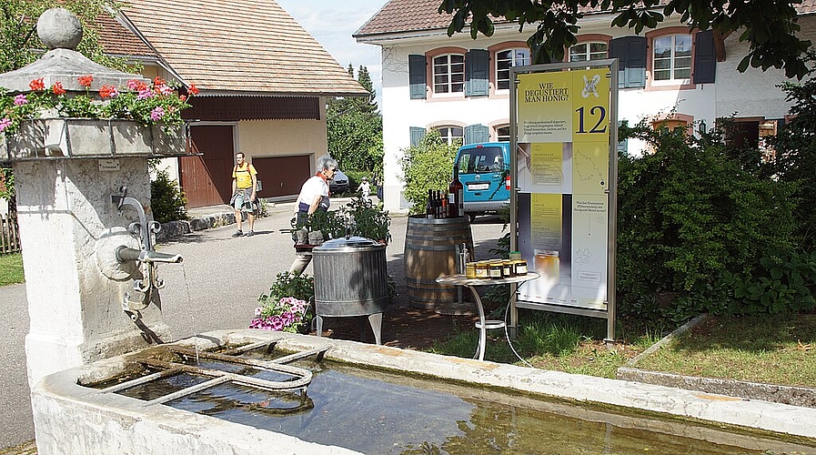 Der begehbare «Zeidlerbaum», ein naturnaher Bienen-Nistplatz. Foto: zVg
