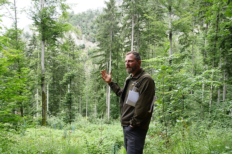 Simon Cendlik erklärt die akuten Probleme unseres Waldes. (Fotos: B. Eglin)
