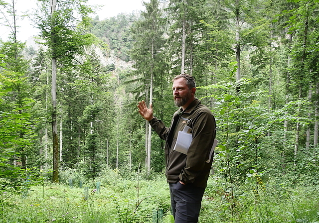 Simon Cendlik erklärt die akuten Probleme unseres Waldes. (Fotos: B. Eglin)
