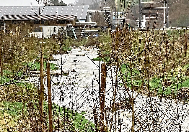 Die Vordere Frenke wurde nördlich von Hölstein vorbildlich renaturiert. Fotos: W. Wenger