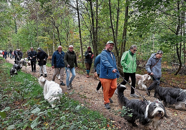 Auftakt zum Herbstspaziergang im Zunzger Wald.