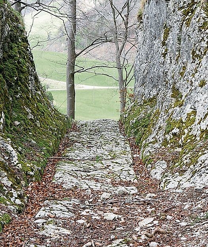 Eine römische Fahrspur auf dem Weg zum Kloster Schönthal.