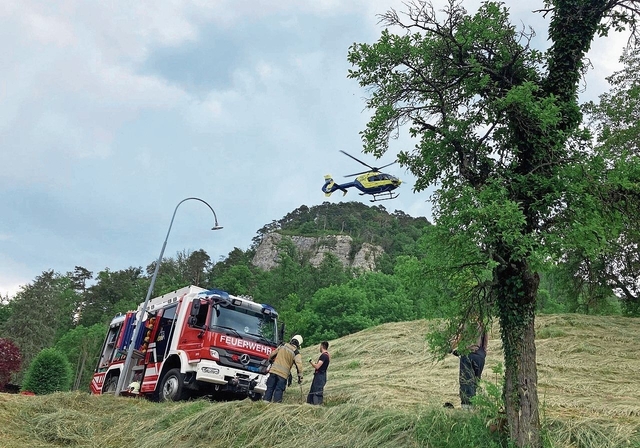 Das Einsatzspektrum der Feuerwehren wird immer grösser. Fotos: S. van Riemsdijk