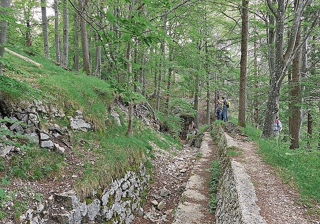 Schützengrabenabschnitt auf dem Spitzenflüeli. Fotos: Pier-Giuseppe Cacciatori
