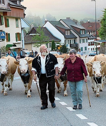 Die Familie Tschan-Meury bringt ihre Simmentaler Reinzuchtkühe seit 2010 auf den Schauplatz in Langenbruck.