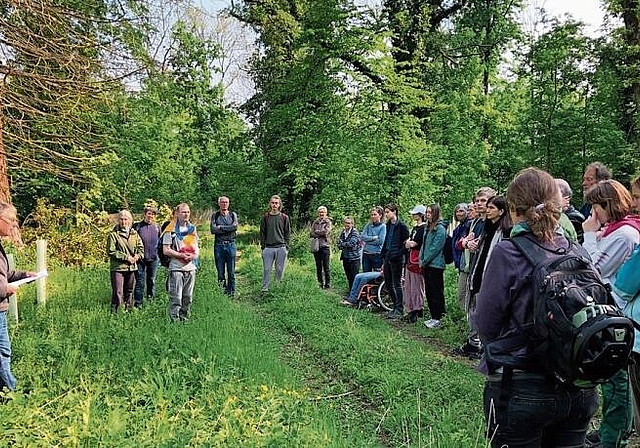 Peter Hartmann erzählte Wissenswertes über den Hardwald.Foto: zvg