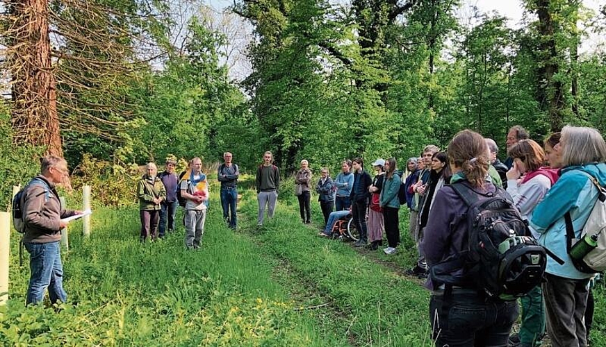 Peter Hartmann erzählte Wissenswertes über den Hardwald.Foto: zvg